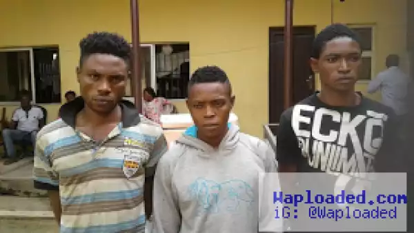 Lagos State Task Force arrest notorious 
